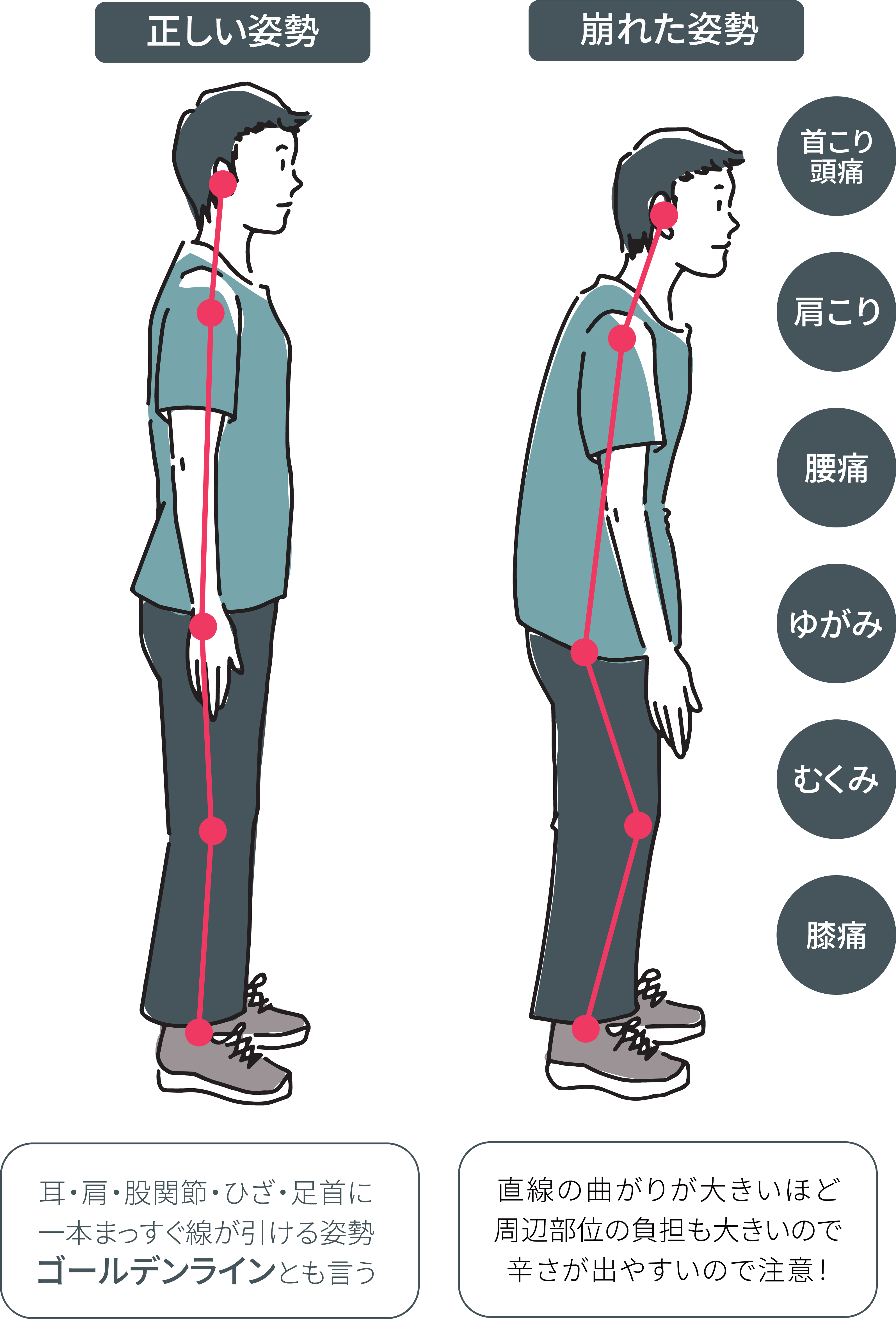 その猫背！　腰の痛み・膝の痛み・股関節の痛み・肩こり　すべてにつながっています！