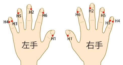 井穴刺絡の手の番号